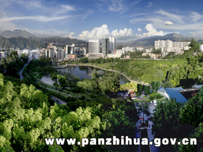 城市绿化
